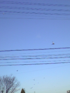 080127_0904~01.jpg