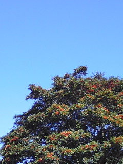 091104_0913~01.jpg