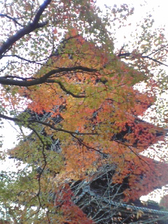 091110_1352~02.jpg