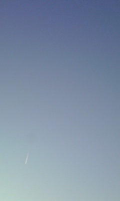 091229_1644~01.jpg